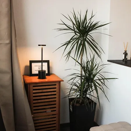 Soarelui Cozy Брашов